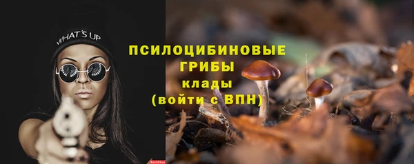 эйфоретик Пересвет