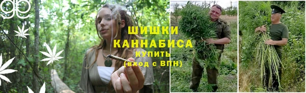 ПСИЛОЦИБИНОВЫЕ ГРИБЫ Пестово
