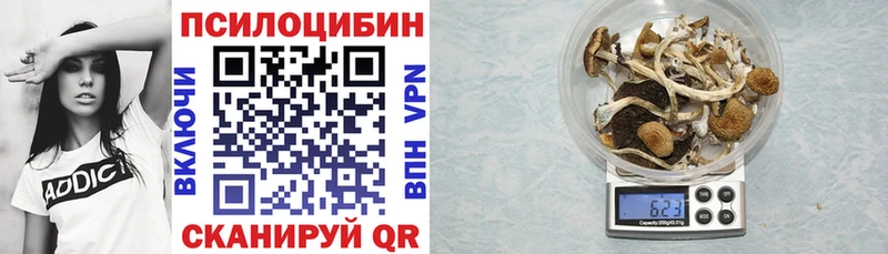 Галлюциногенные грибы мицелий  где найти   Пошехонье 